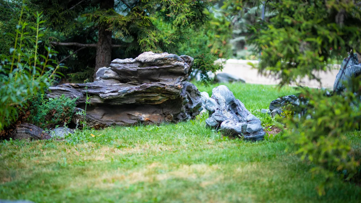 Территория клиники 9