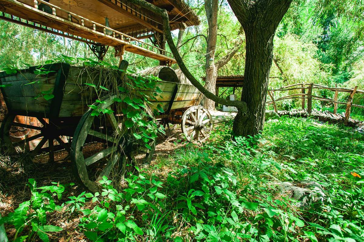 Besh-Kungey Clinic — 18